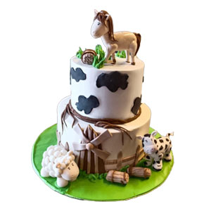 1st Year Birthday